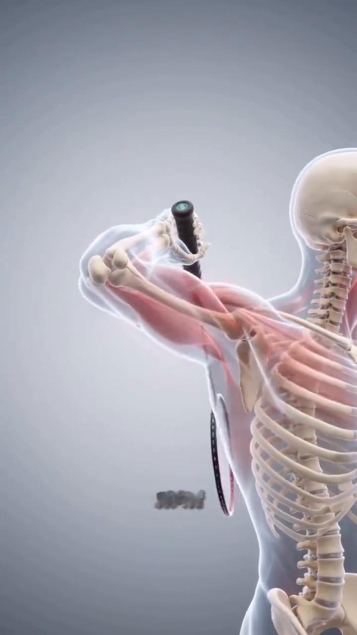 引拍，肘抬高，腕后伸，手部完全放松，启动，转肩带，大臂，肘尖始终领先，以制动大大