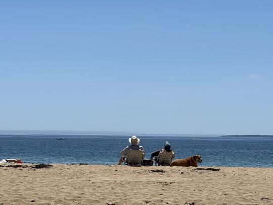 每只狗狗都是一颗小星星⭐️