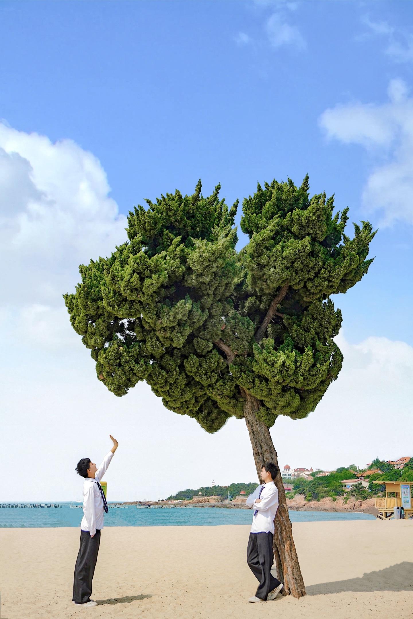 有海的城市好像更浪漫一些.