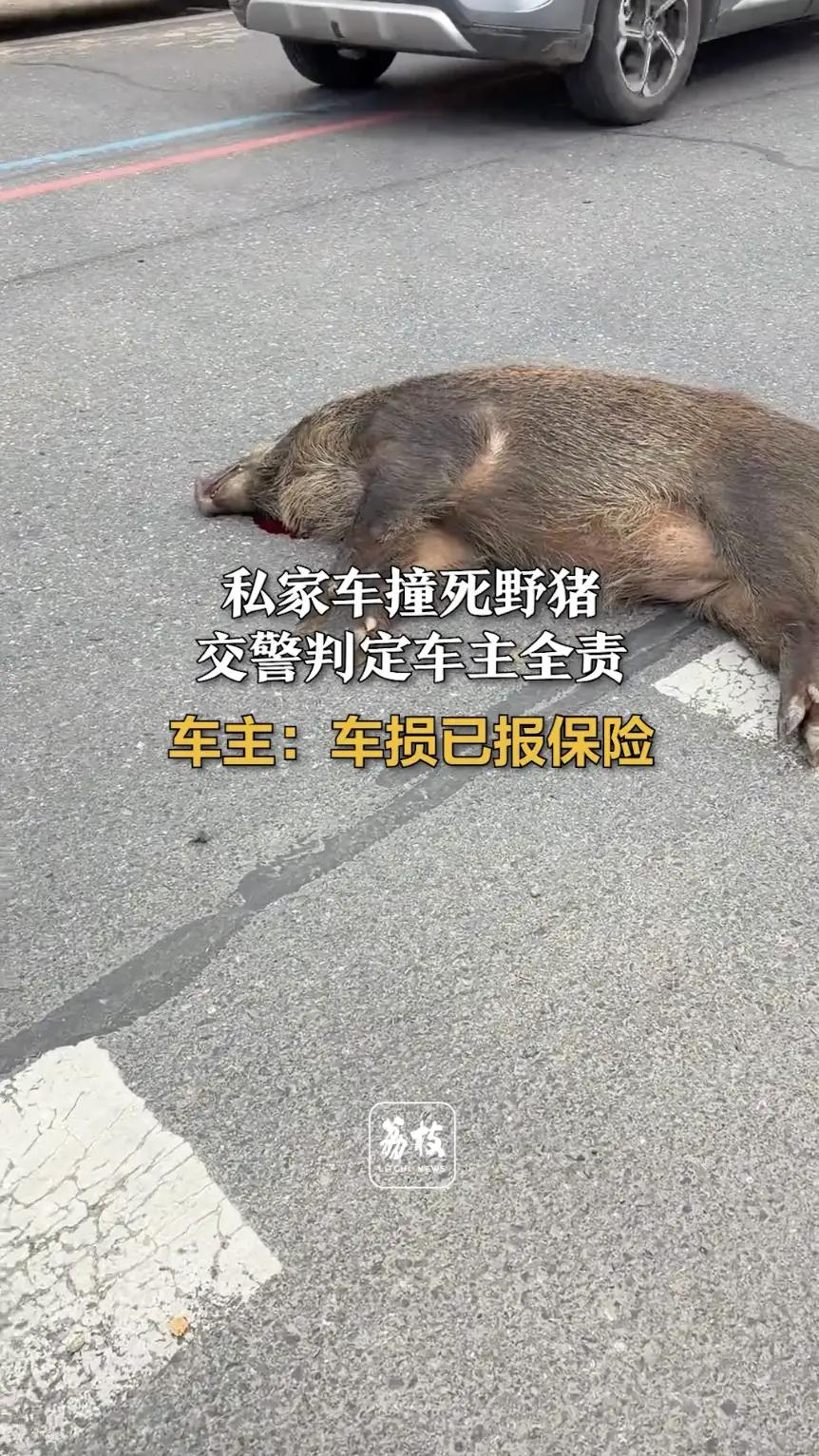 虽然车主全责，但应该可以走车辆保险，由保险公司负责维修车辆。如果判定车主无责，野