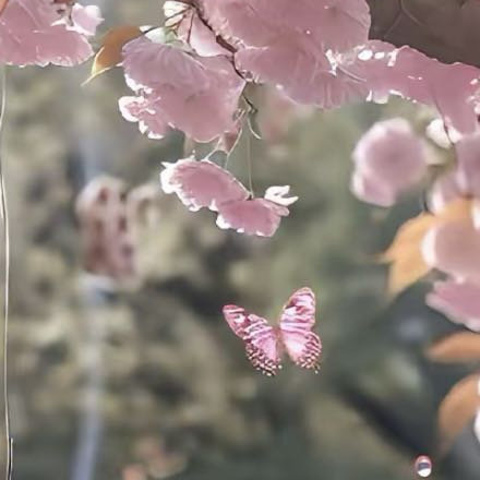 每日一善每日一善 行善不必惊天动地，小事就足够温暖人心。一句体谅，一次援手，一份