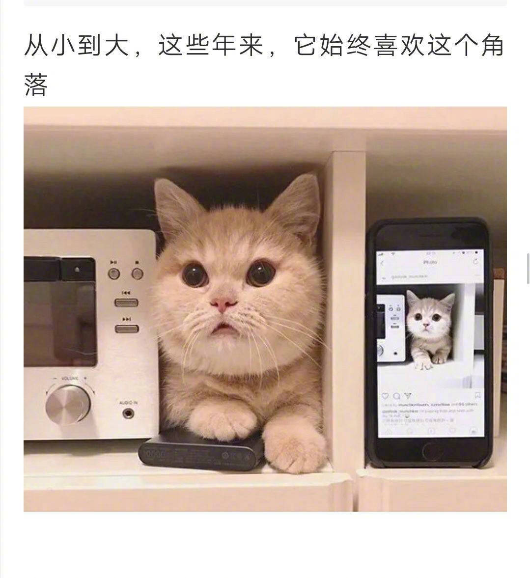 记录时间真的是一件很美好的事情