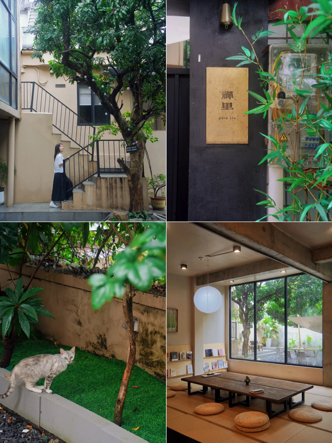 珠海情侣路｜被猫猫包围的疗愈民宿🍃