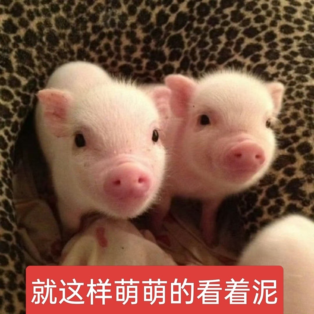 分享图片 