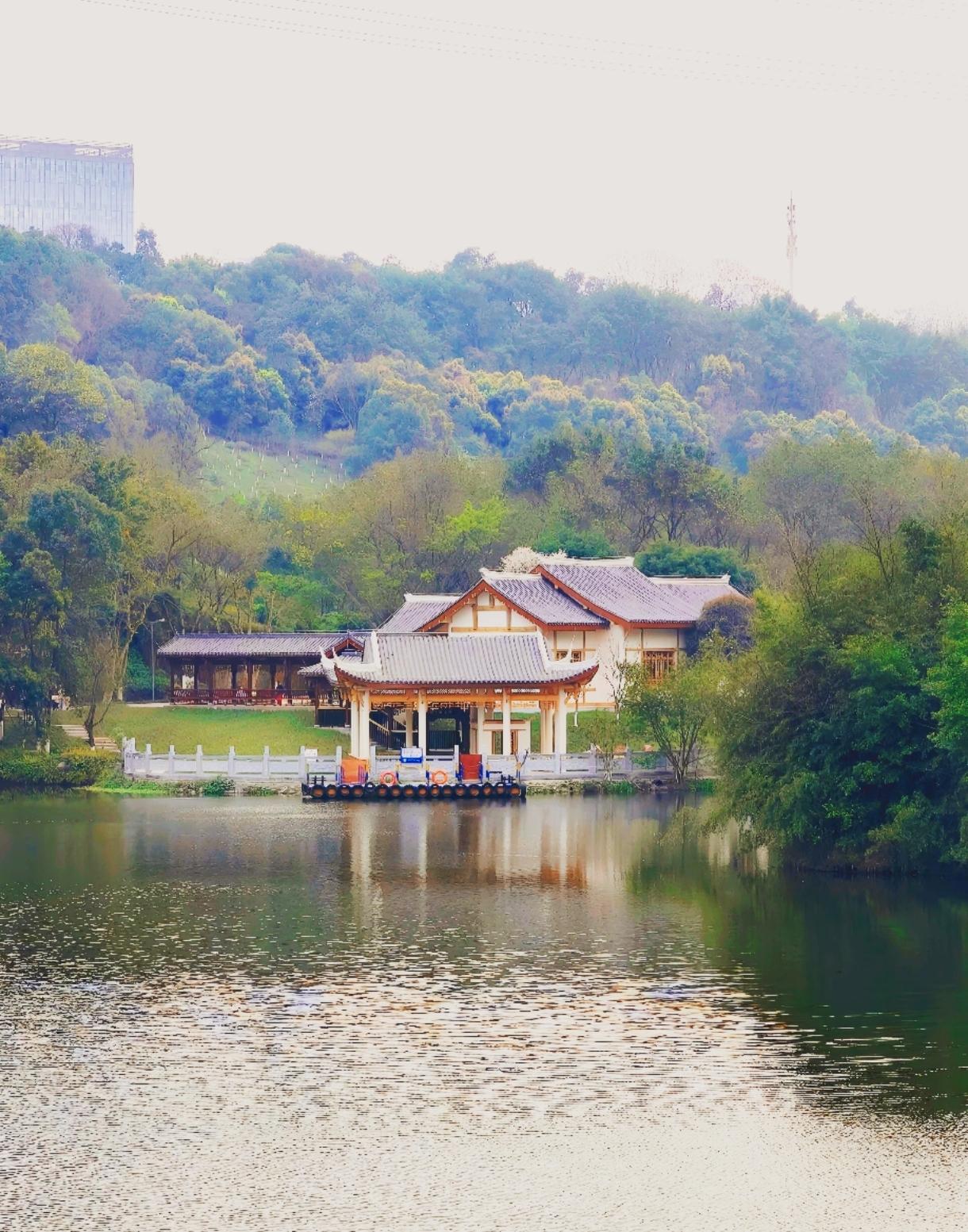 这是你的梦中情屋吗？
坐落湖畔，超大公园簇拥，面积足够大，功能分区，2分钟上城市