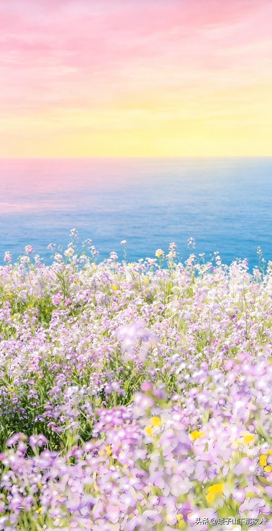 海天一色间，花影入梦来。