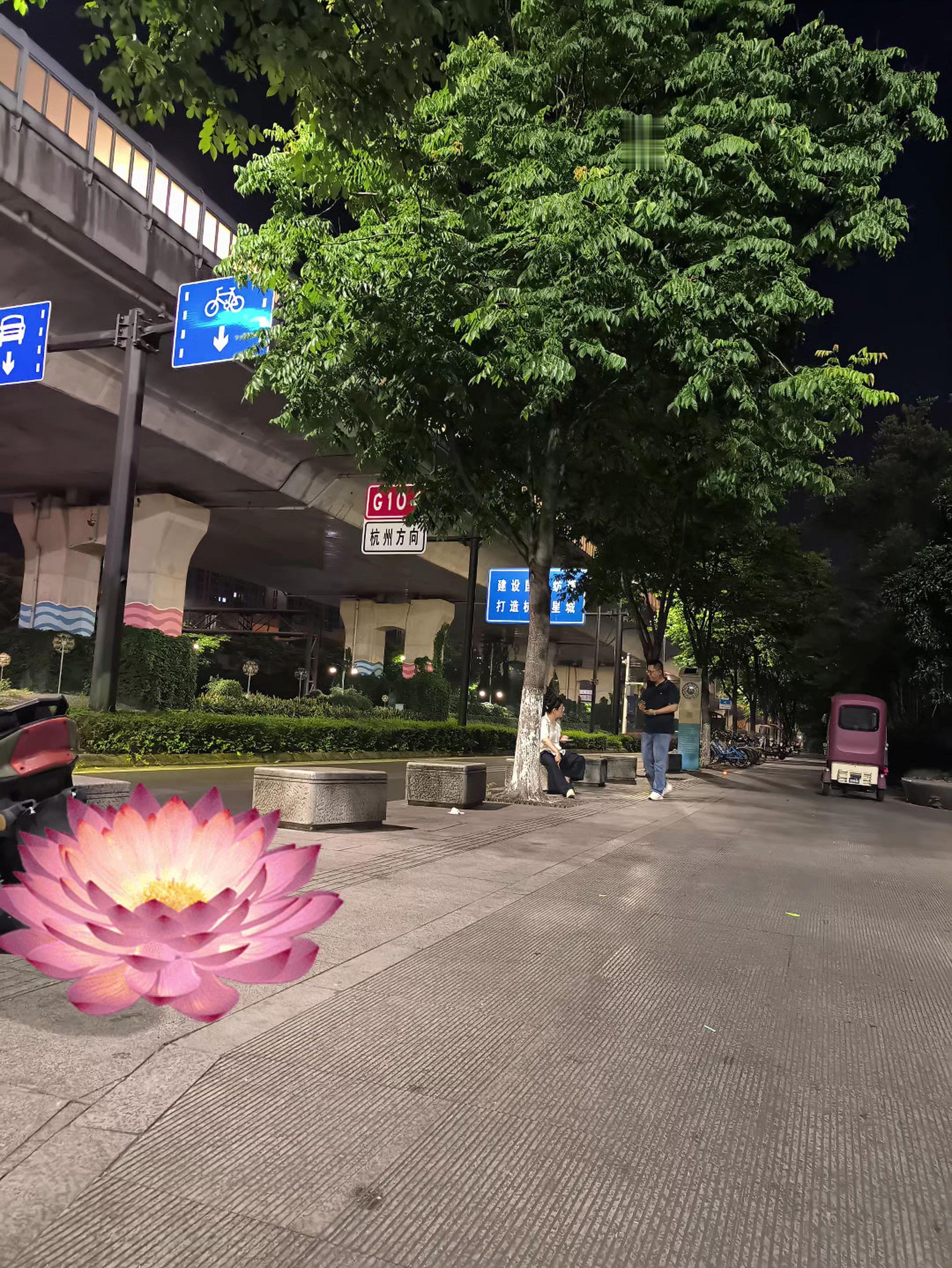 每日分享