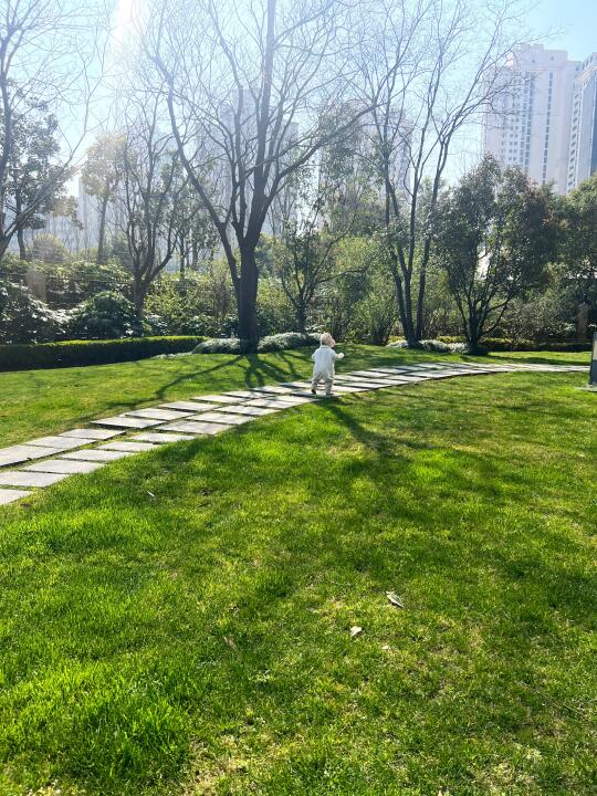 大运动之神，接一个11月龄独走！