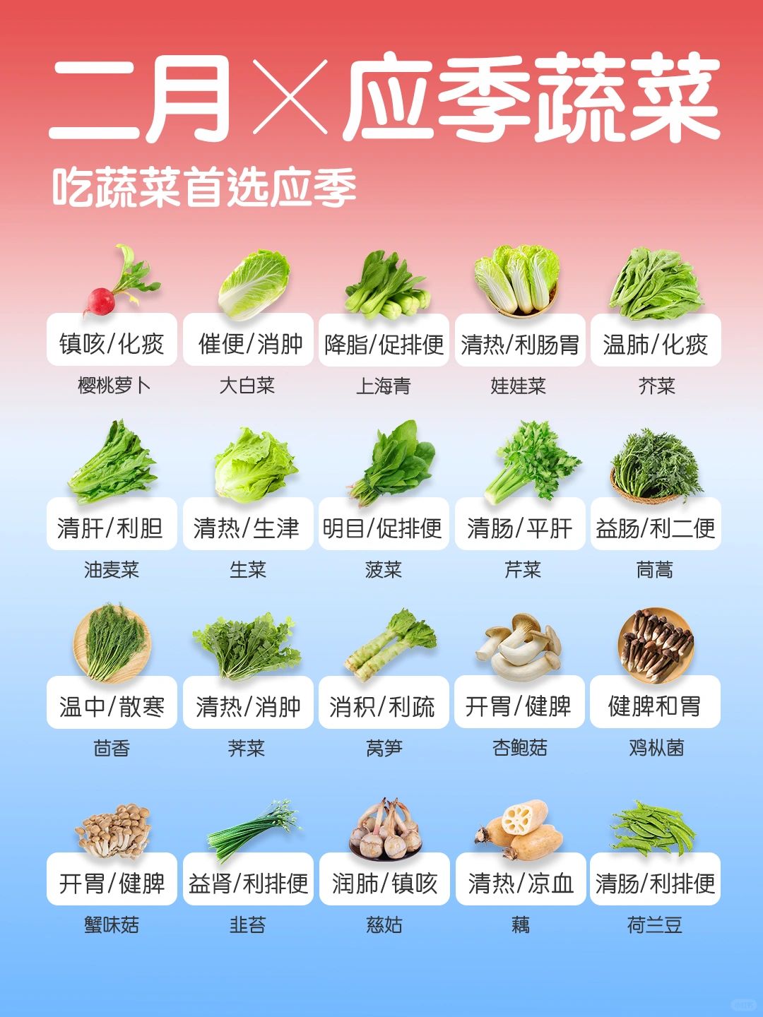 2🈷️应季蔬菜速查｜春节吃蔬菜首选应季🥬