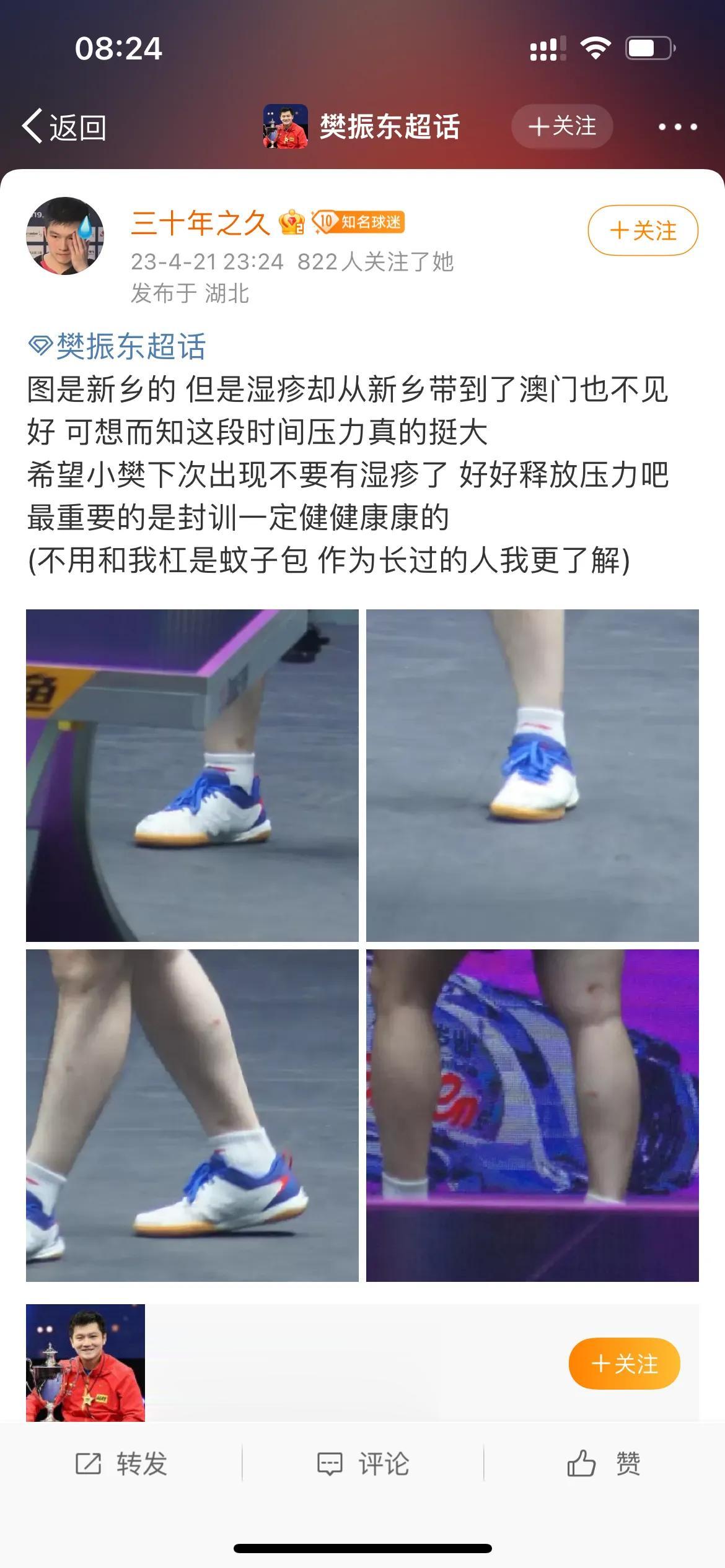破案了！樊振东爆冷惨败事出有因，球迷曝国乒一哥顽固伤病，他一个人承受了太多。

