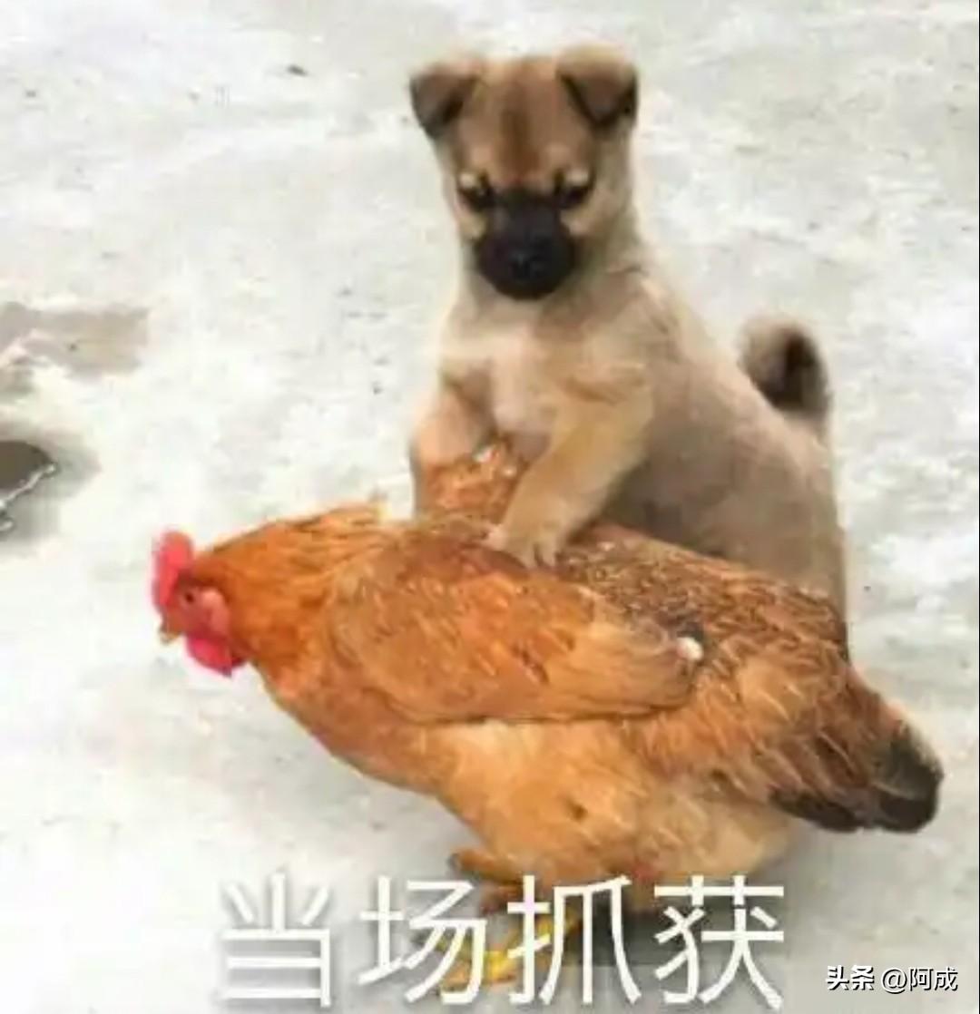 昨天厂里员工偷拿产品被抓的事，确实让人心里不是滋味。今天一早开会，组长又专门强调