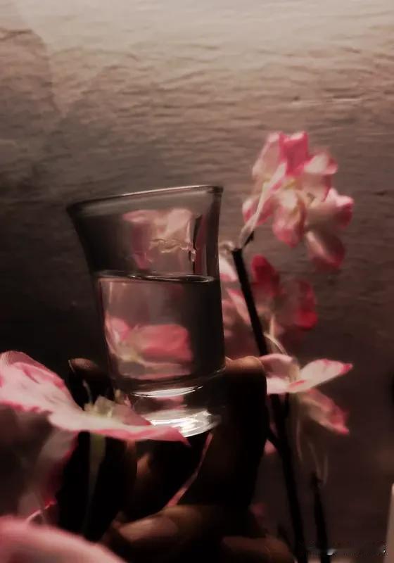 见“飞花入盏频邀酒”上联
兴致顿起
此联画面感十足
飞花入杯
似频频邀人饮酒
我