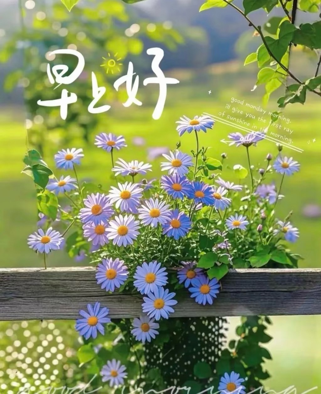 ²º²⁶/₀₆.₂₁𝐌𝐨𝐫𝐧𝐢𝐧𝐠 🌈 早安！不必羡慕别人的风景