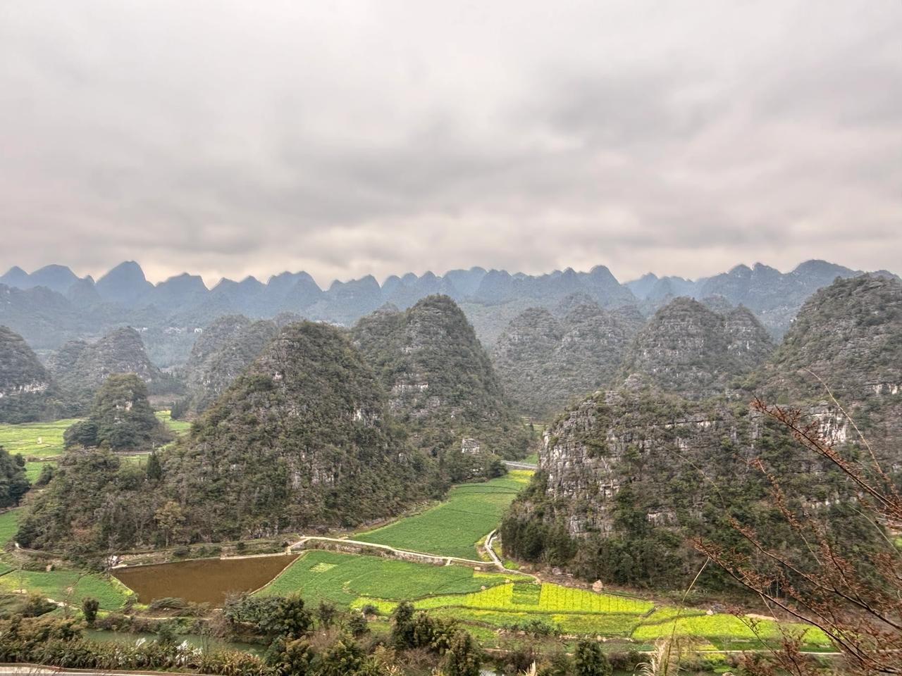 罗平峰林，位于云南省东部，占地面积1000平方千米，地处滇、桂、黔三省（区）结合