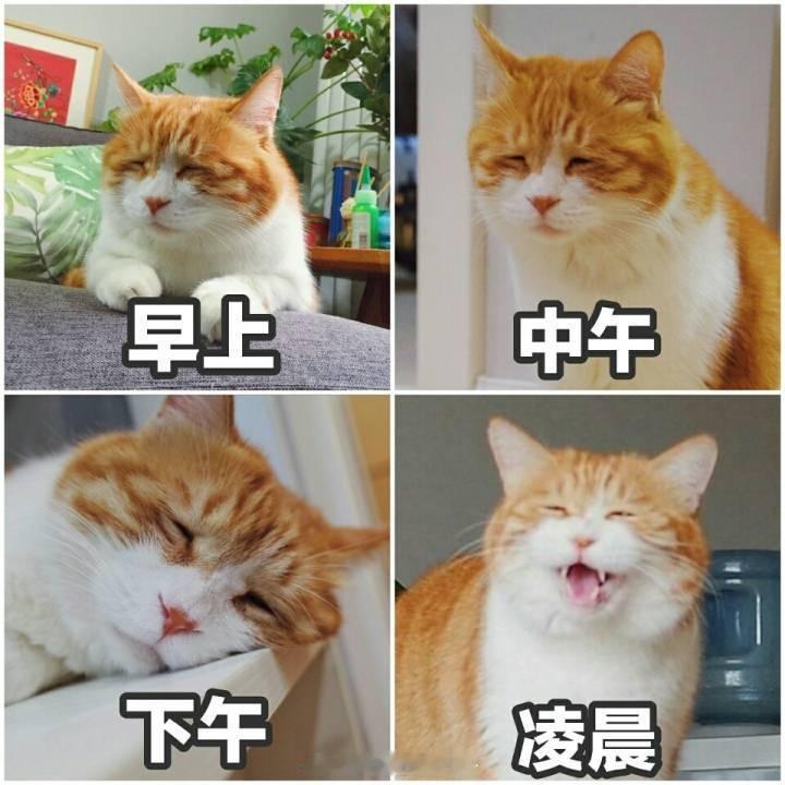 闲话 又是和小姐妹国内游的时候了，今年会去四川的阆中、广元、眉山等地溜达循例求乡