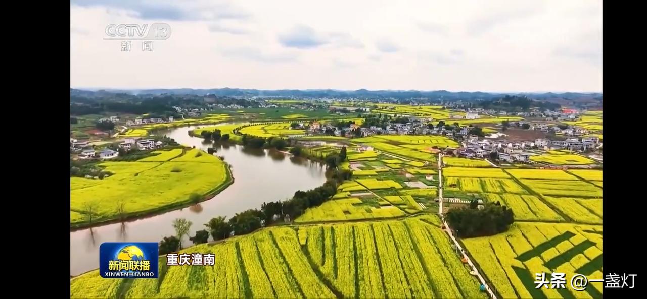 大美中国，油菜花开漫山遍野