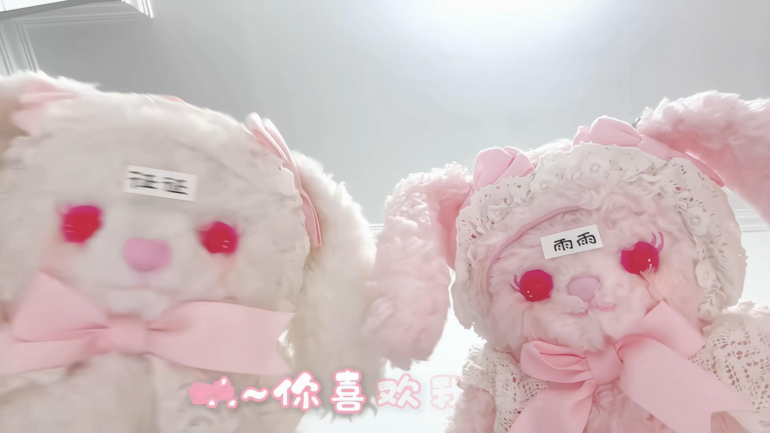 兔兔