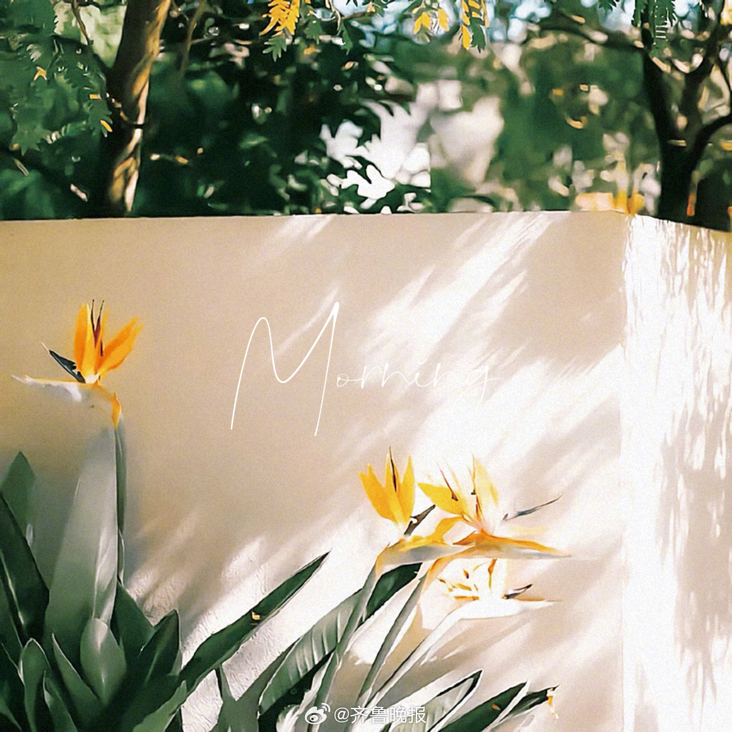 凡事恰好来日方长#早安#