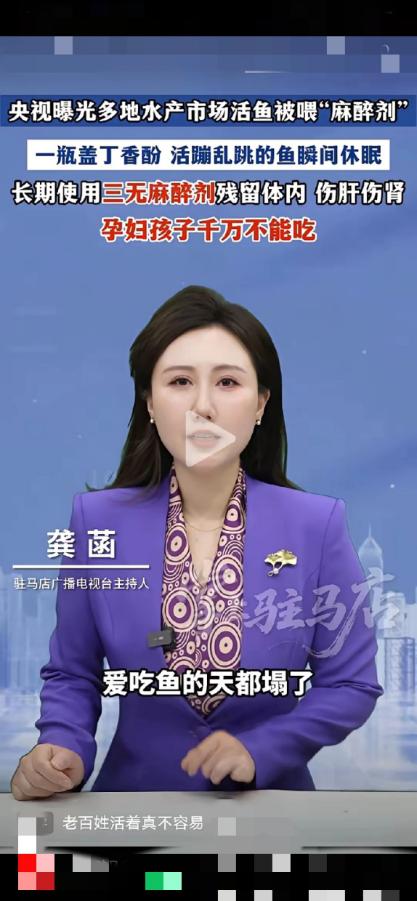 一觉醒来爱吃鱼的天都塌了！央视新闻曝光了，重庆.山东.临沂.安徽.宿州等地的水产