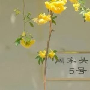 阳光信用阳光信用 每日一善  人生的路经历过，才知道有短有长；岁月，在无憾中微笑