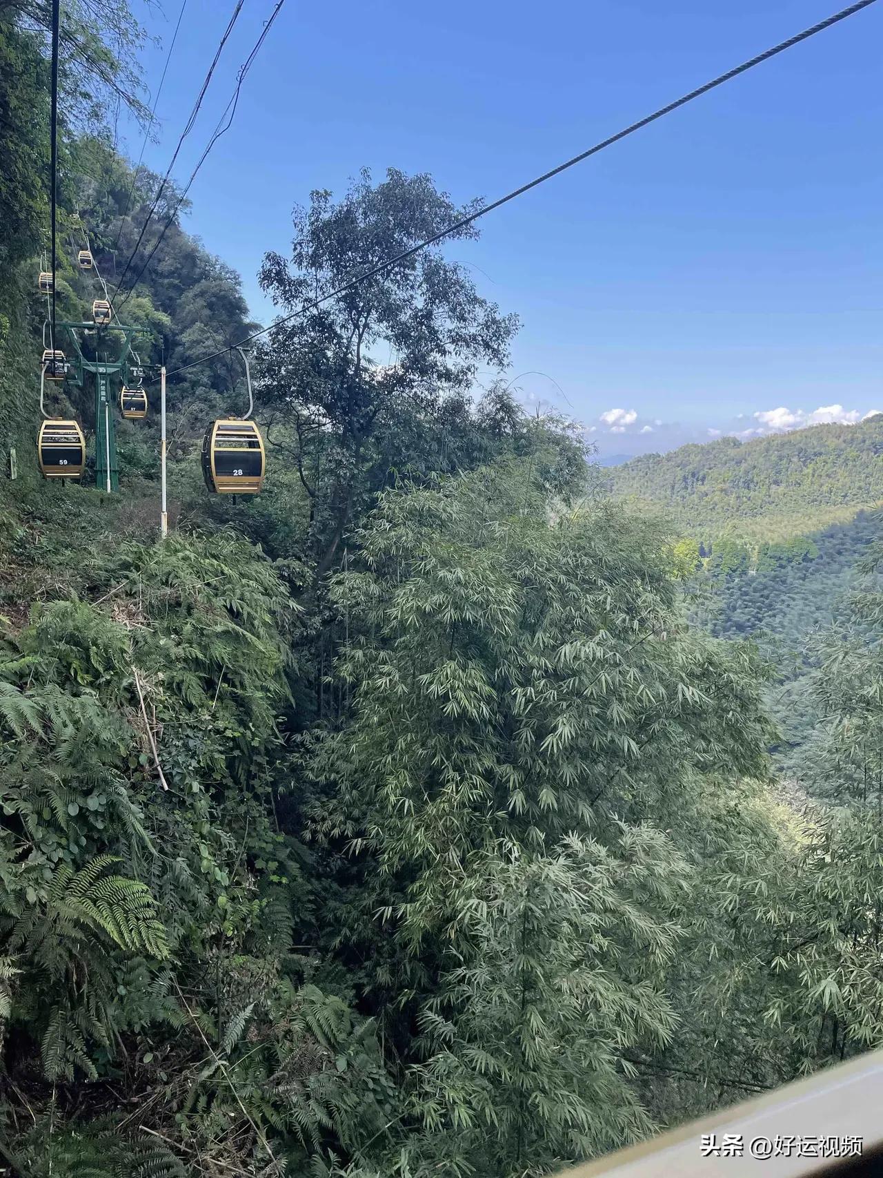 🚢 乘坐缆车穿越翠绿山林，感受大自然的宁静与美好。