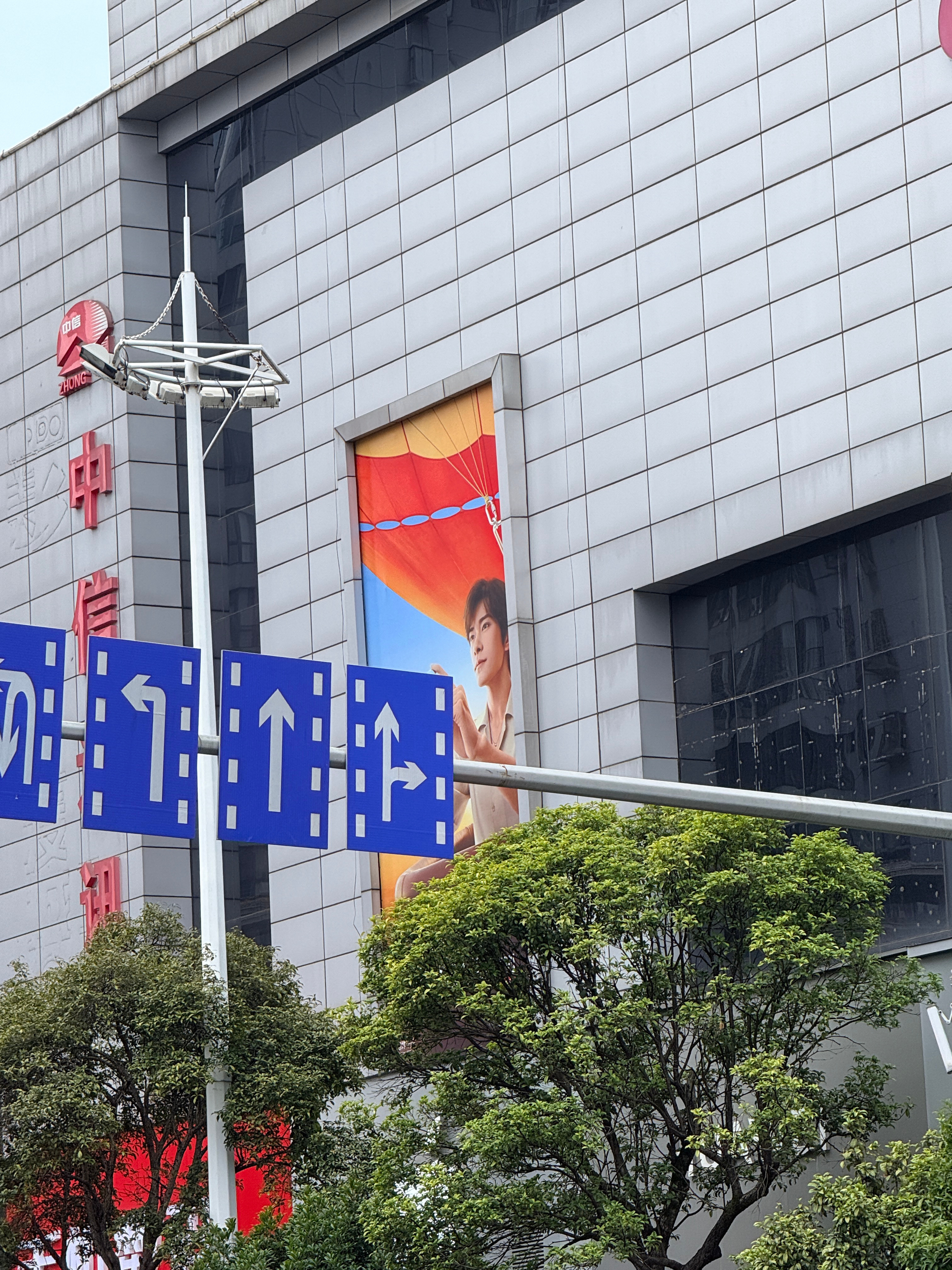 一路上都是诶，心情都好了 