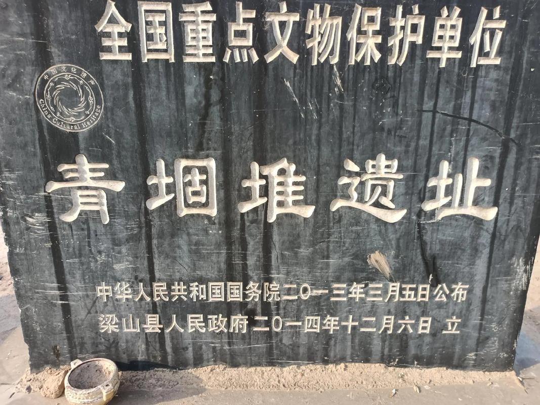 鲁西南“宅高避水”的史前文明缩影
位于菏泽成武县，是一处横跨龙山、商周至战国的连