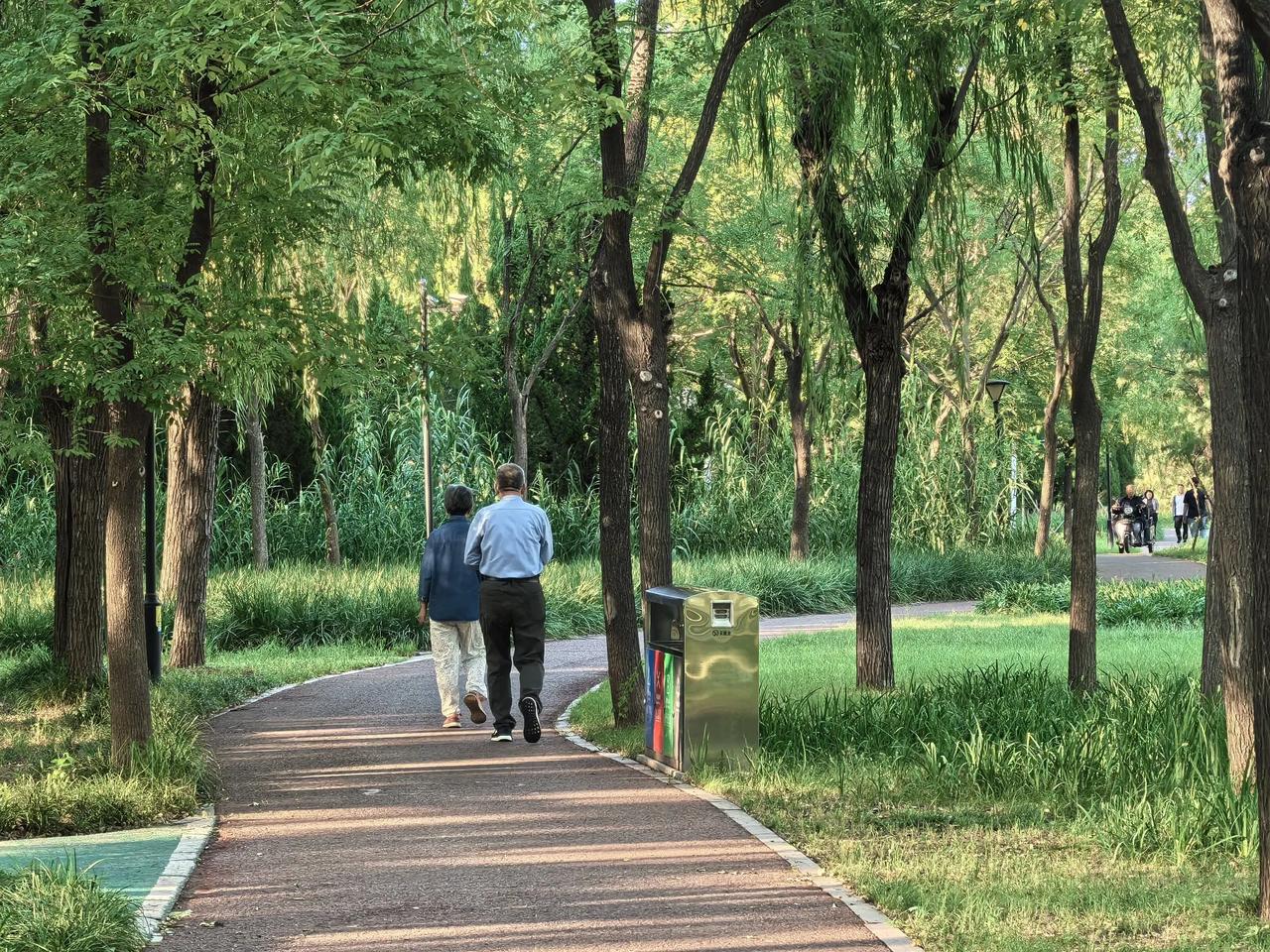 秋日的夕阳下，一对老夫妇在散步，他们衣着干净整齐，步态稳重，年轻时一定是一对帅哥