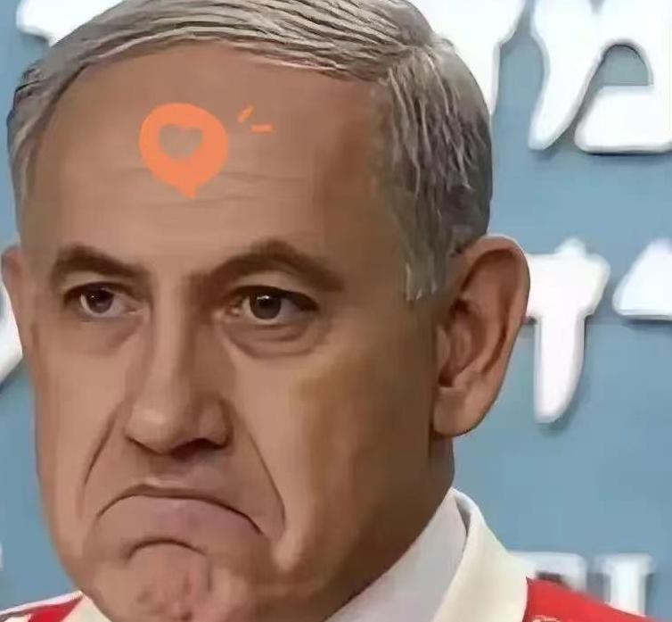 以色列最新消息！
2026年4月5日，以色列突然翻脸了，宣布把所有跟法国的国防采