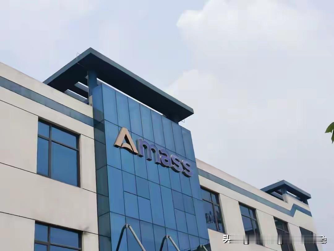 狂飙2000%！美国严防死守的技术，中国小厂硬核突围冲进全球前三

一家仅300