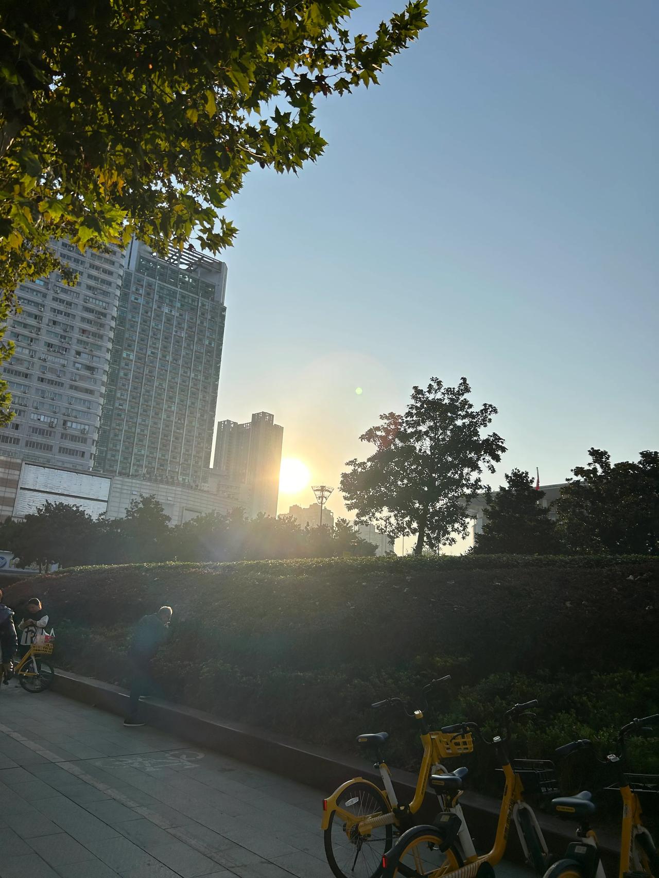 突然发现这社会有些让我看不懂了，狗咬人，受害者还在医院，网红被人杀害，刚生完孩子