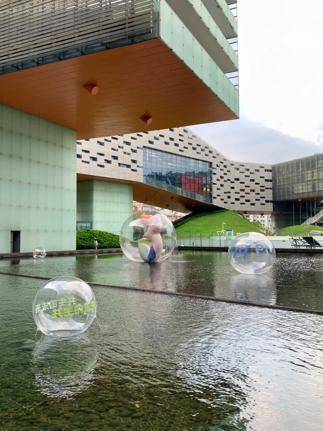 大梅沙除了沙滩🏖，这个免费新展也很好拍～