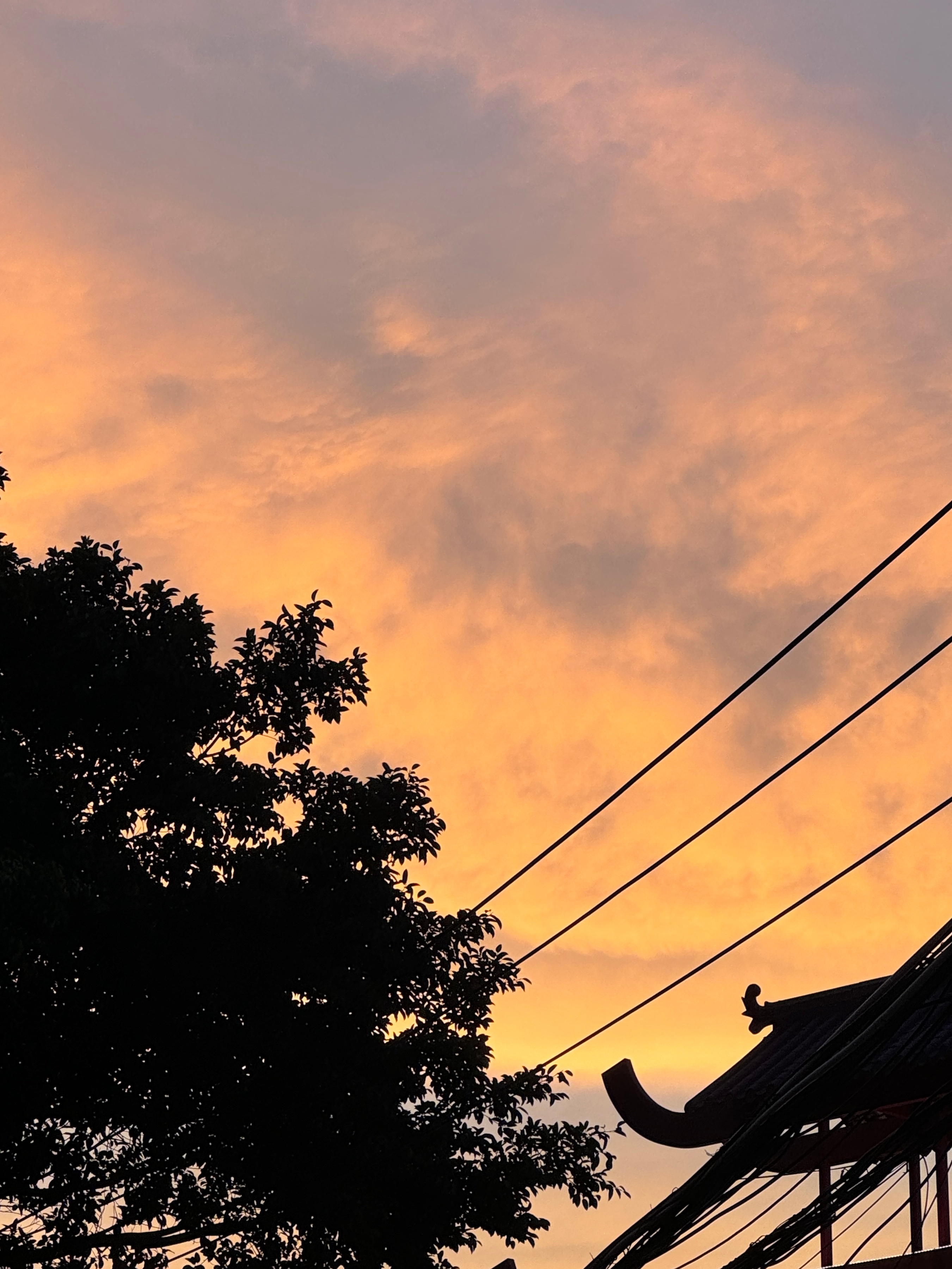 昨天傍晚的天空 