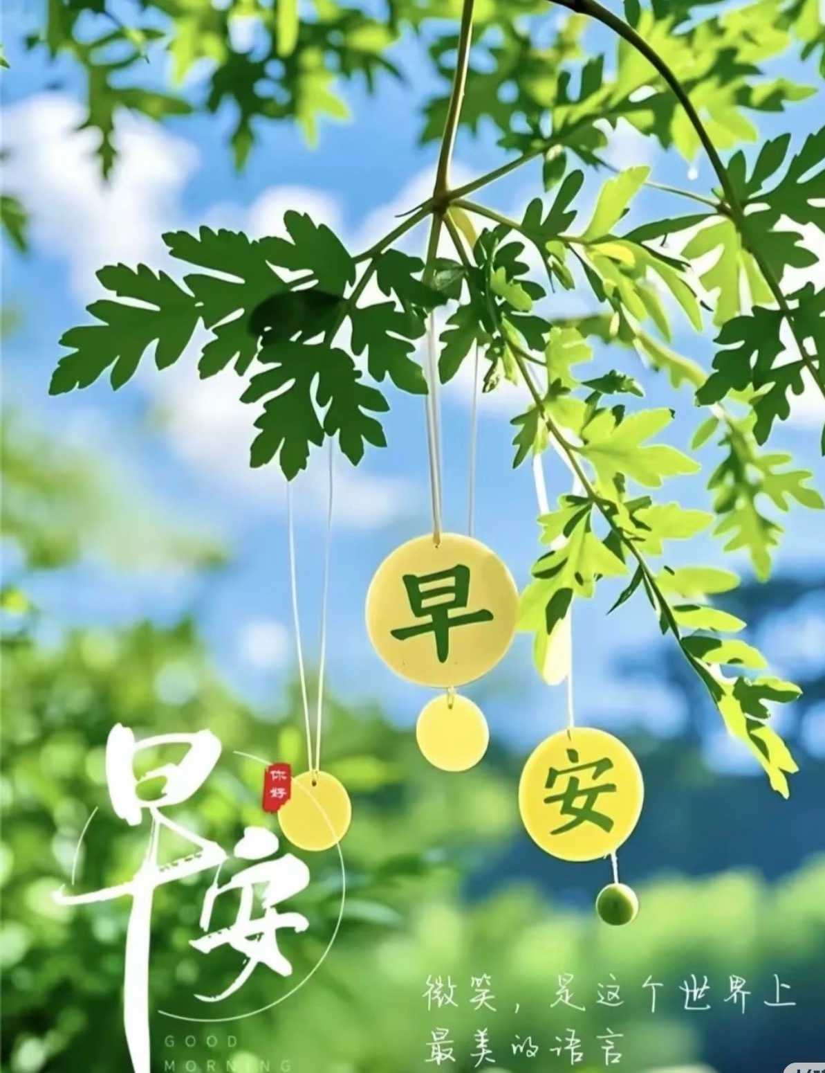 早安 ˗ˏˋ💟ˎˊ˗ ᴍᴏʀɴɪɴɢ ʏᴀ爱生活，是生命的底色不慌，不忙，不忧
