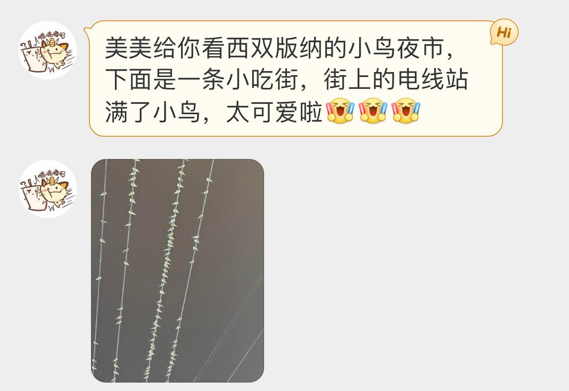 #鸟粉投稿# 聚集在电线杆上的小燕子好整齐呀 ​​​