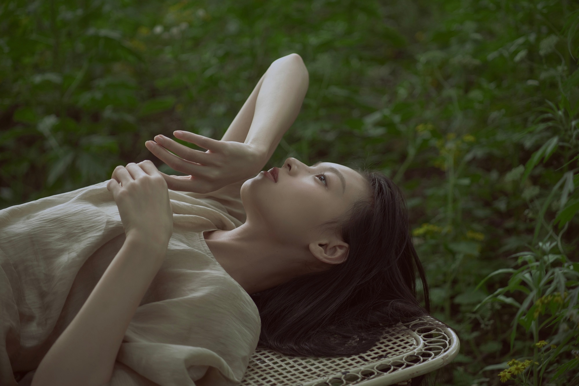 根须- ​​​