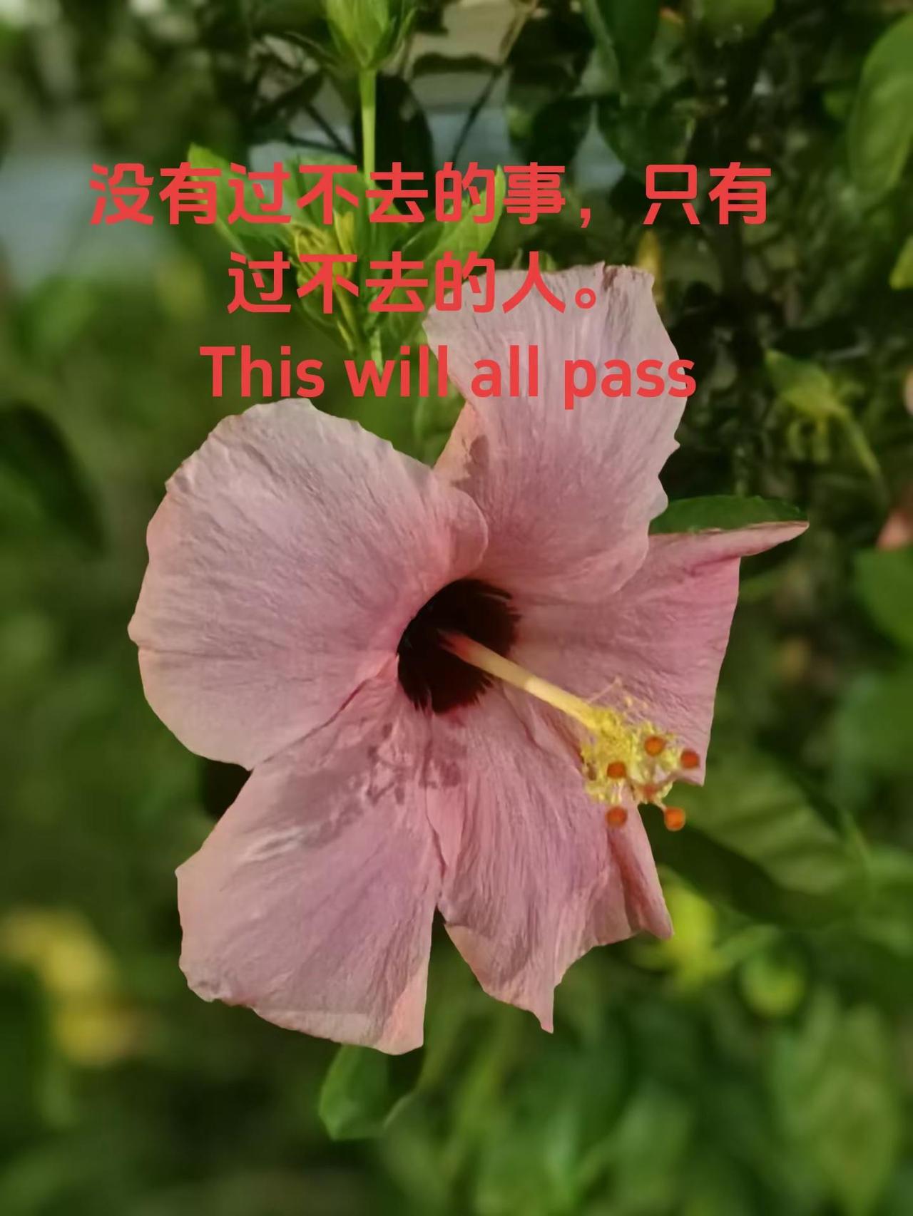 没有过不去的事，只有过不去的人。  。没有过不去的事，只有过不去的人