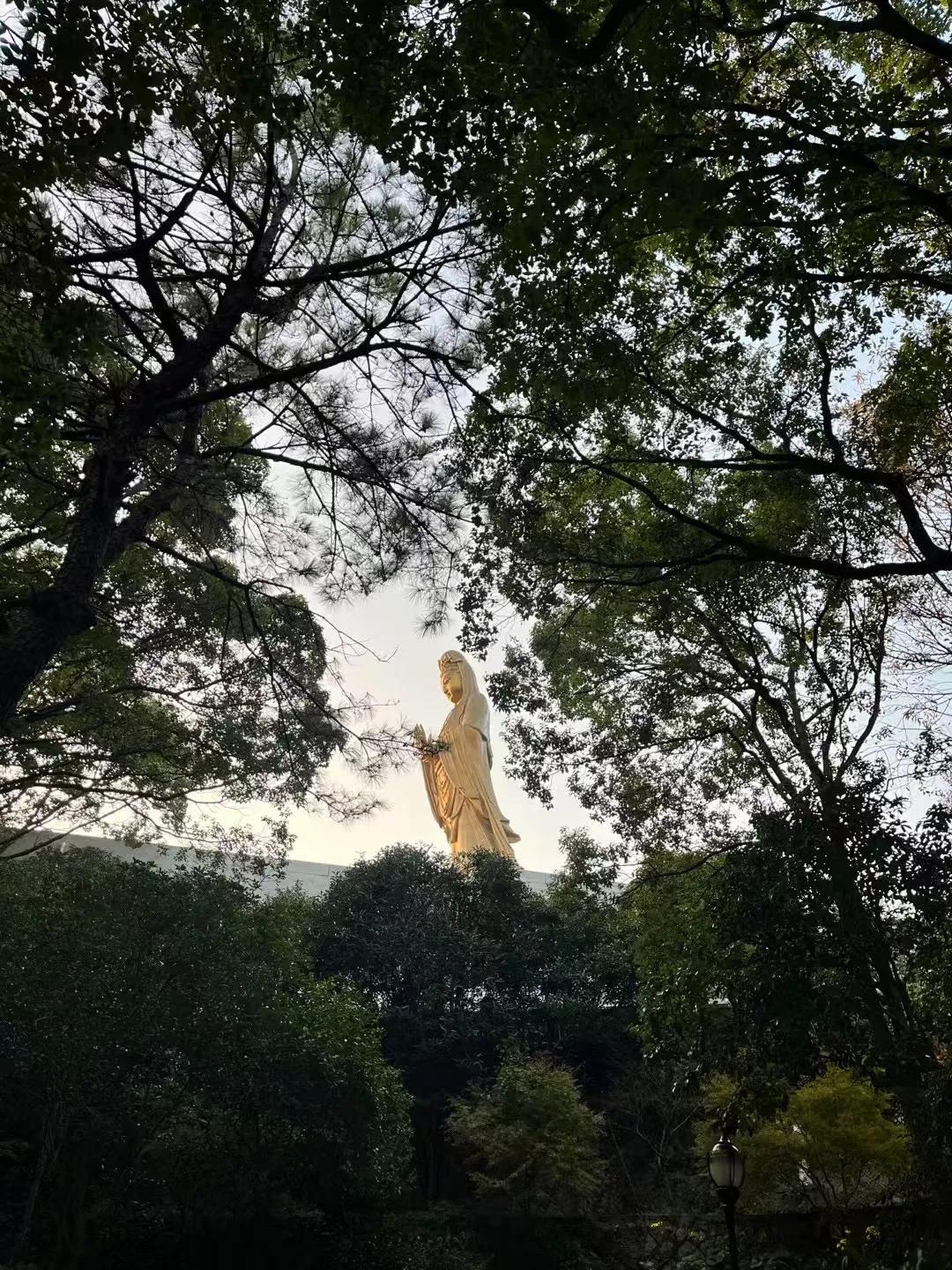 🌟第一站：普济禅寺
一踏入普济禅寺，庄严肃穆之感扑面而来。寺庙的建筑古色古香，
