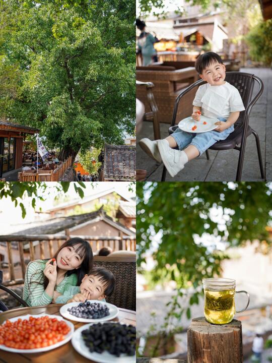 生活有烦恼，就去西昌300年的合欢树下🌳喝茶