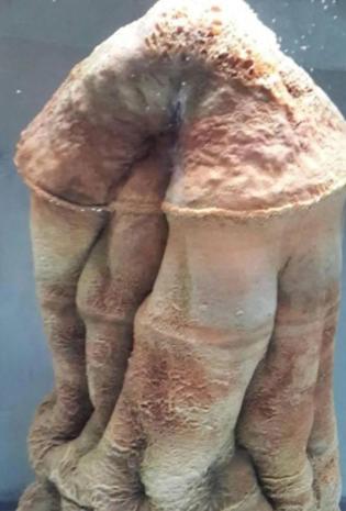 1993年7月，国家地质部一钻井队在河北省完县打井，当钻头打到117米深时，钻井