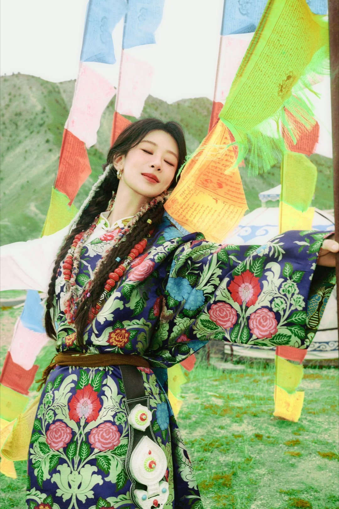 生命树 yz杨紫白菊 yz杨紫生命树我可以不吃不喝 但你不可以.𝓘 𝓬𝓪?