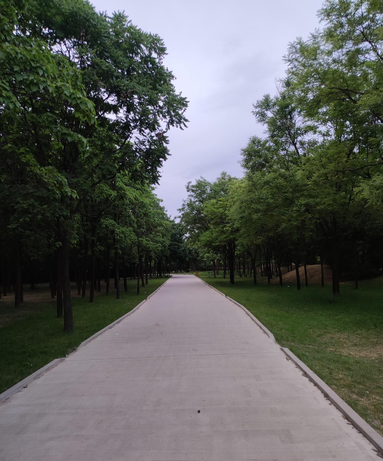 听到一则令人痛心的消息：保定某私立中学一位吴姓老师是高三毕业班英语老师，也是备课
