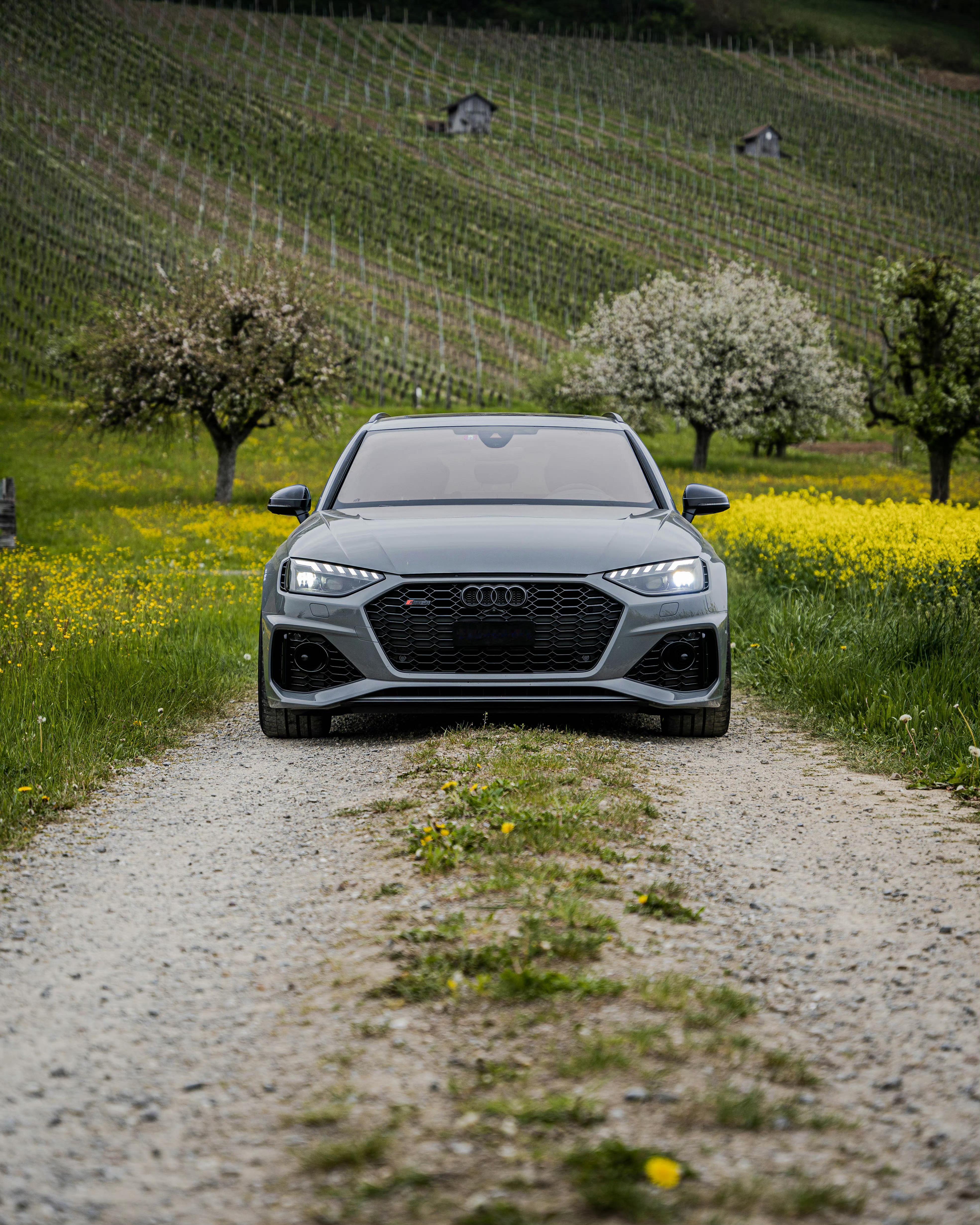 奥迪 RS 4 Avant[色][色] 