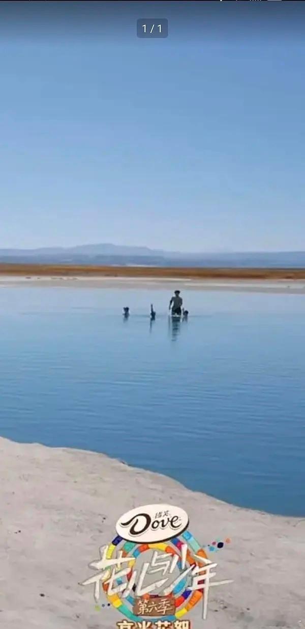 所以为什么周雨彤碰到侯明昊就不会游泳了？ ​​​