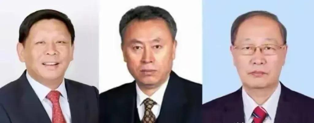 三名院士被官网除名！网友：看着不像搞科研的
官网除名，震动学界。网友直言：相貌不