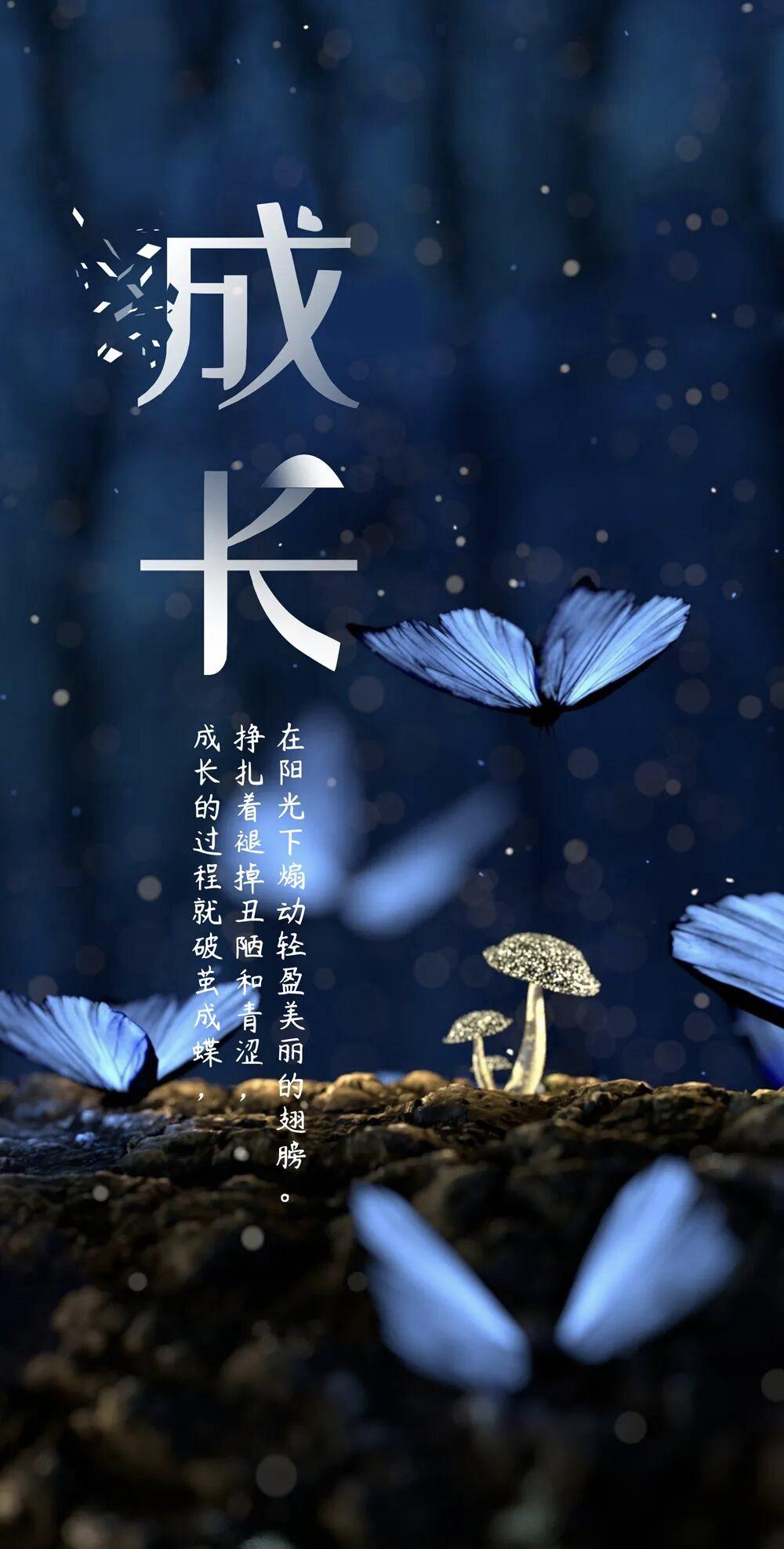 成熟，不是年龄，而是学会扛起自己的责任

有人说，人的成熟是一段旅程，从迷茫到自