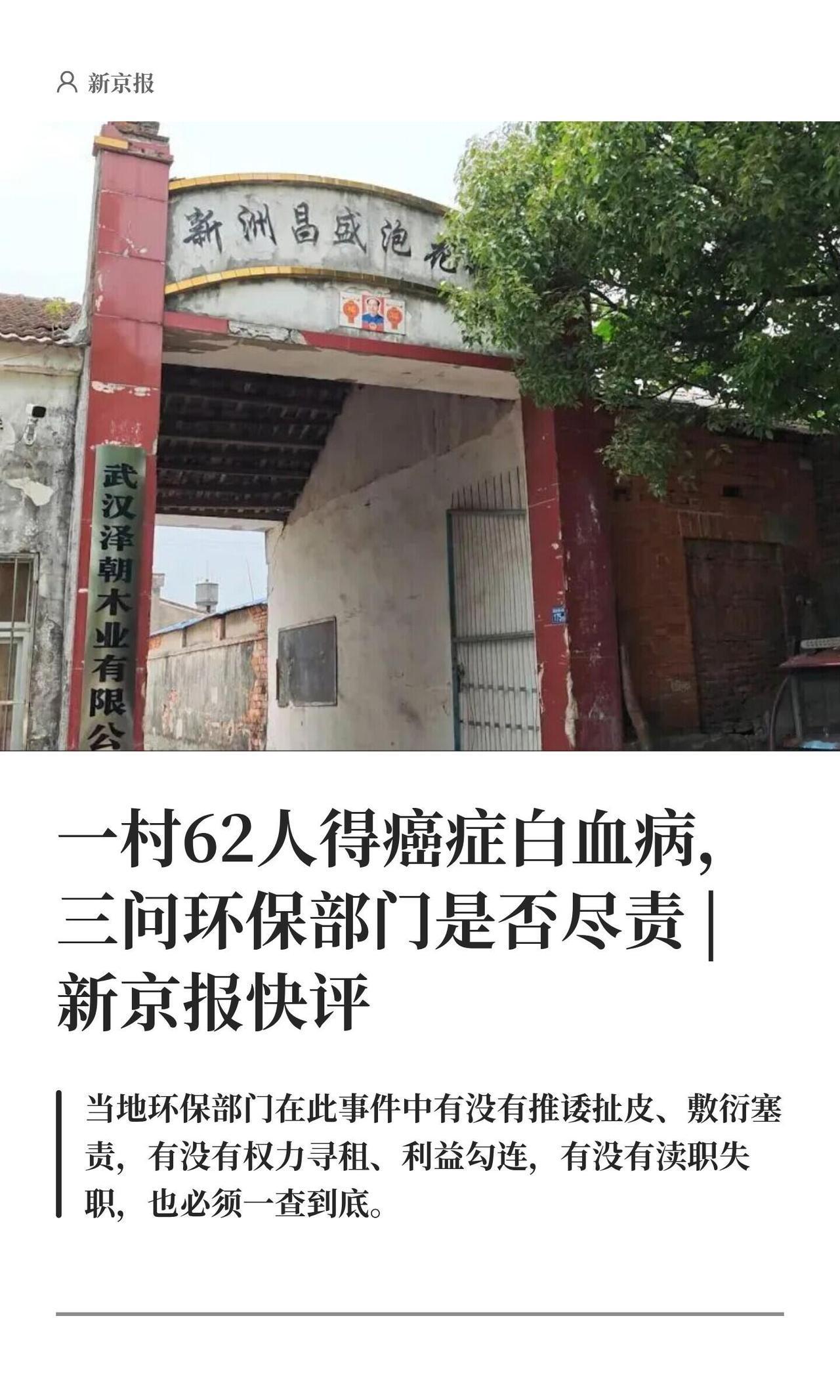 武汉新洲这事儿真挺邪乎的。一个不到600人的小村子，居然冒出来62个癌症和白血病