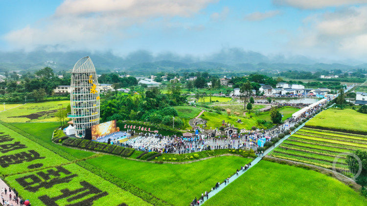 重庆全域土地综合整治从“试点探索”走向“扩面提质”