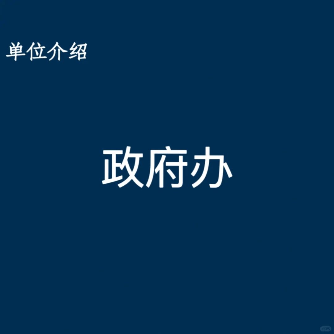 宝子们，这是政府办