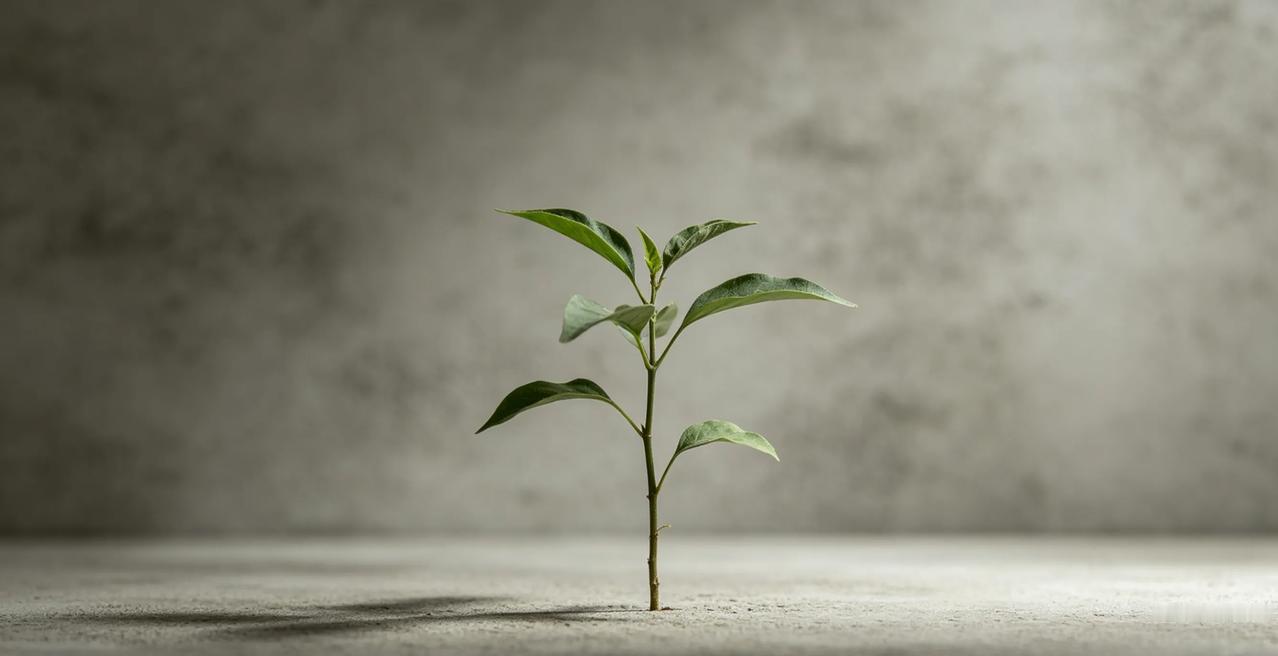 生活里总难免遇到这样的人：说话尖酸刻薄，做事毫无分寸，肆意践踏你的底线，半点尊重
